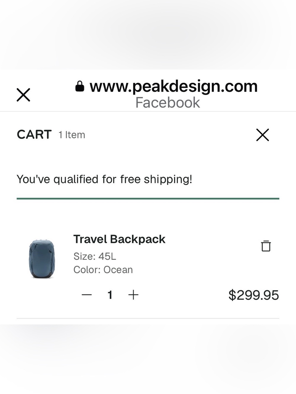 • Peak Design • TRAVEL BACKPACK 45 L • NWT • - Picture 3 of 7
